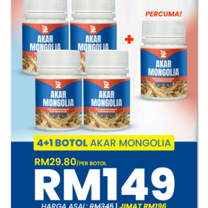AKAR MONGOLIA 4 BOTOL